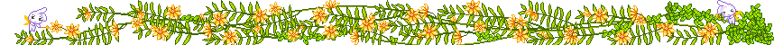 yellow flower divider